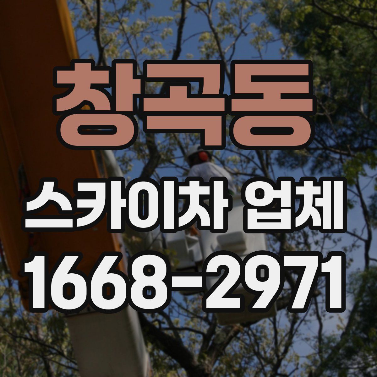 창곡동 스카이차 업체
