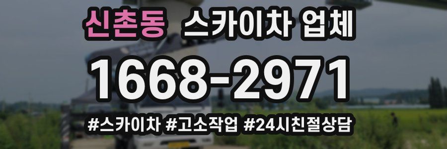 신촌동 스카이차 업체