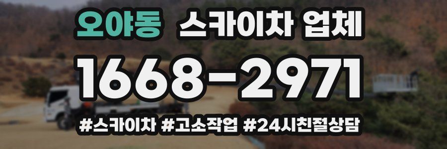 오야동 스카이차 업체