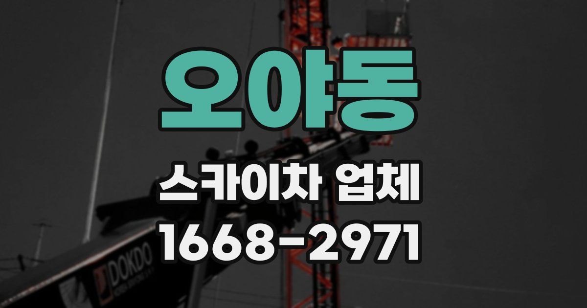 오야동 스카이차 업체