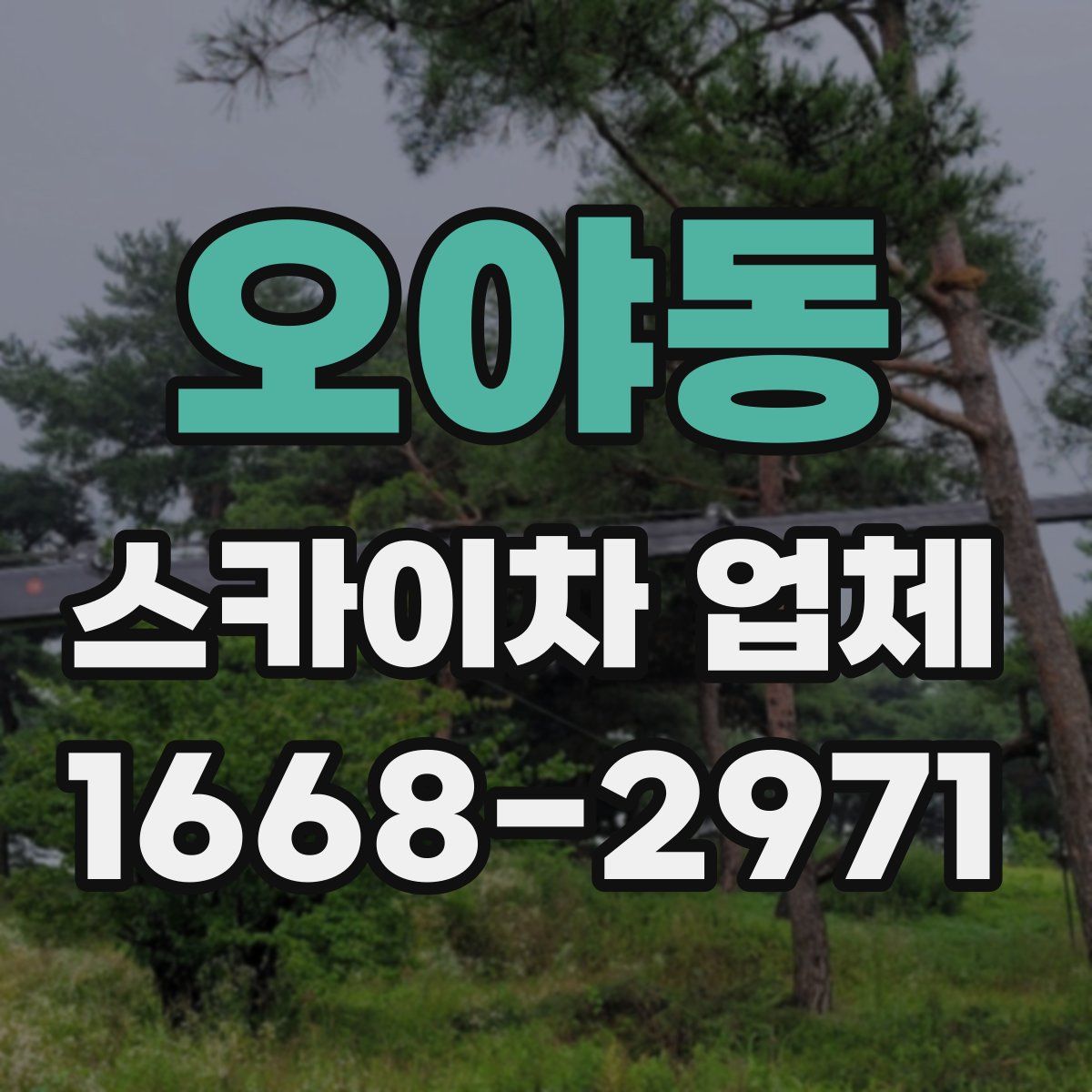 오야동 스카이차 업체