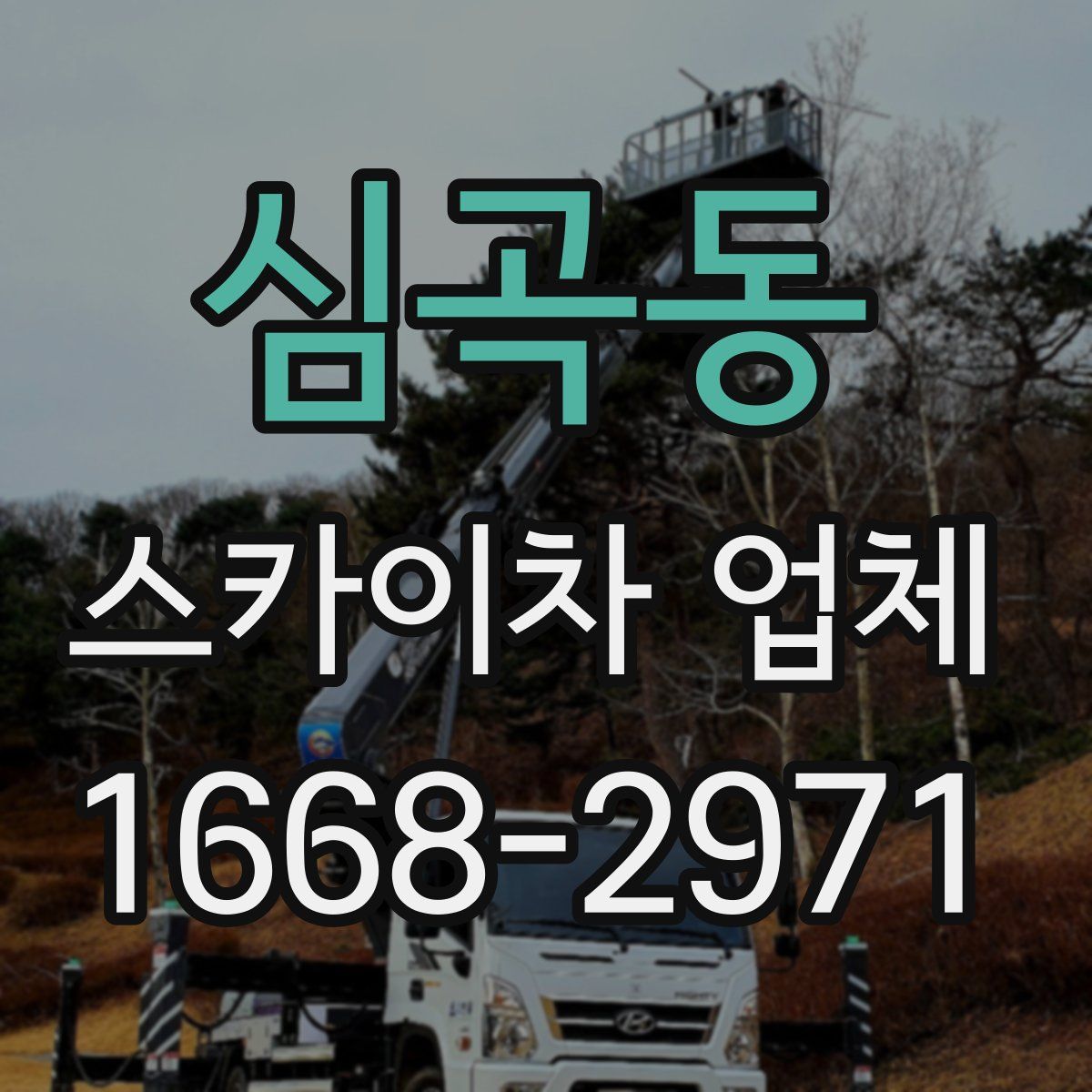 심곡동 스카이차 업체