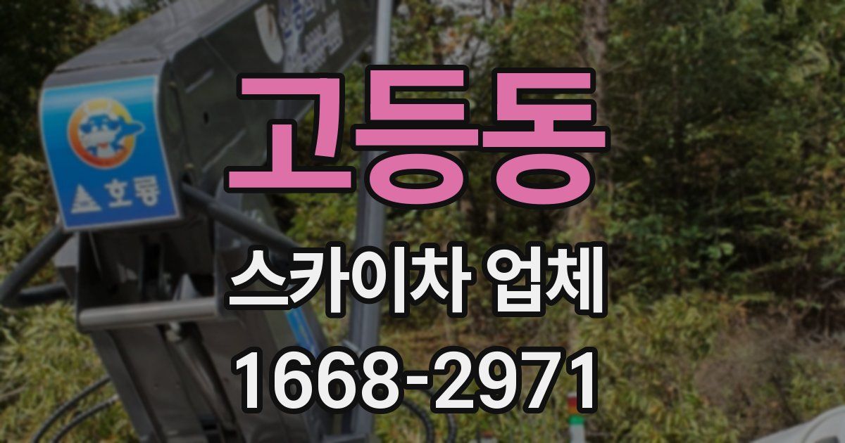 고등동 스카이차 업체