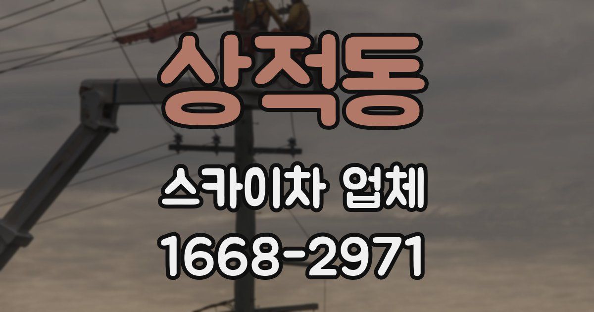 상적동 스카이차 업체