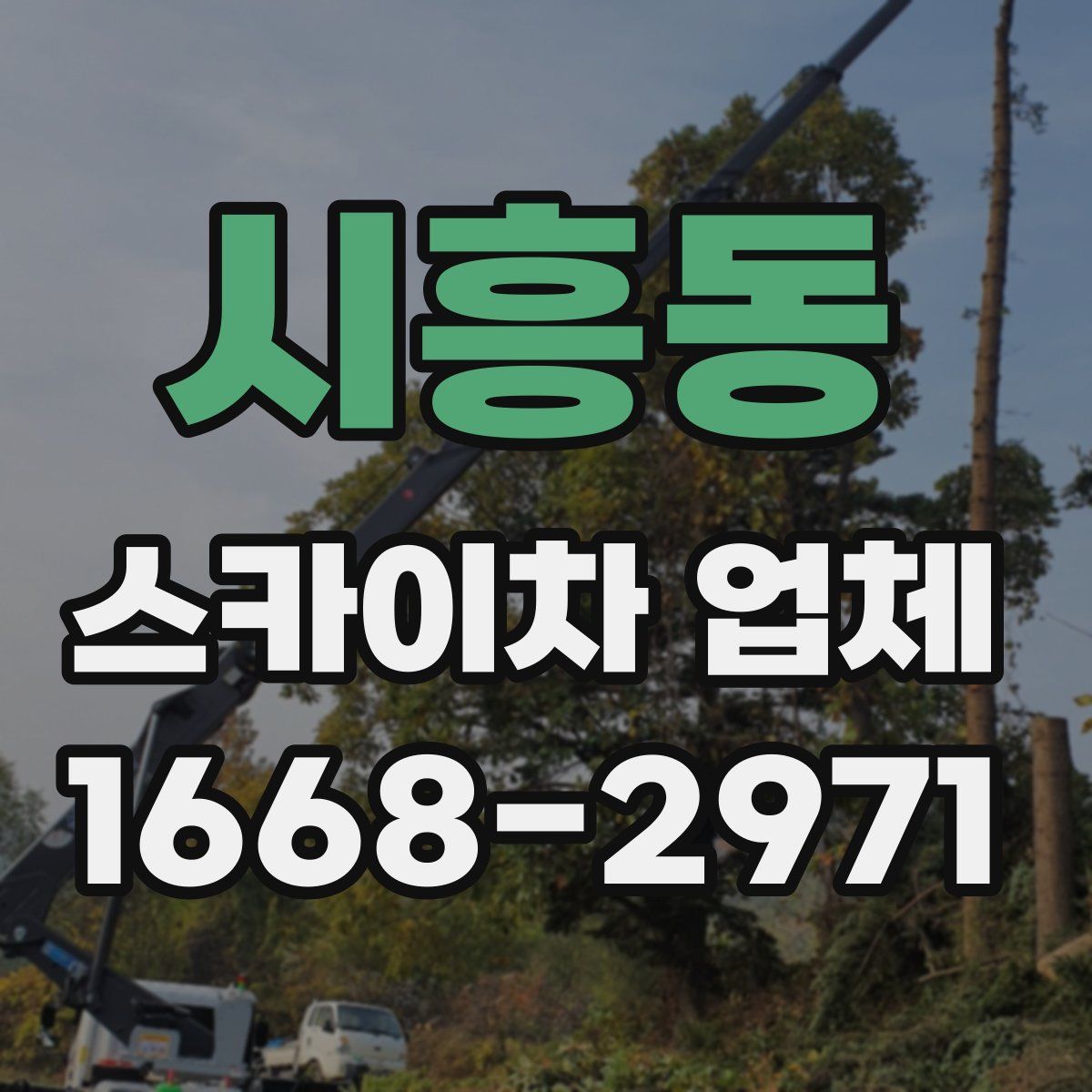 시흥동 스카이차 업체