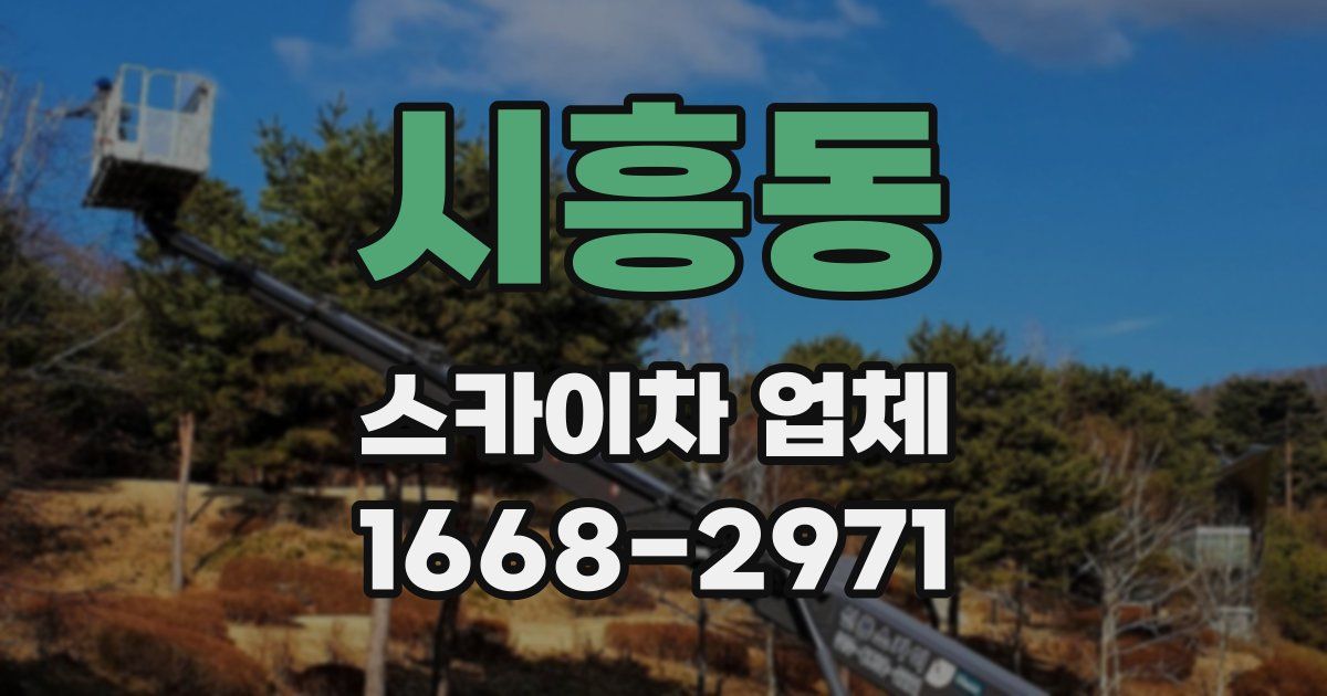 시흥동 스카이차 업체