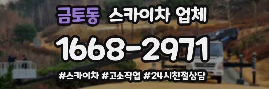 금토동 스카이차 업체