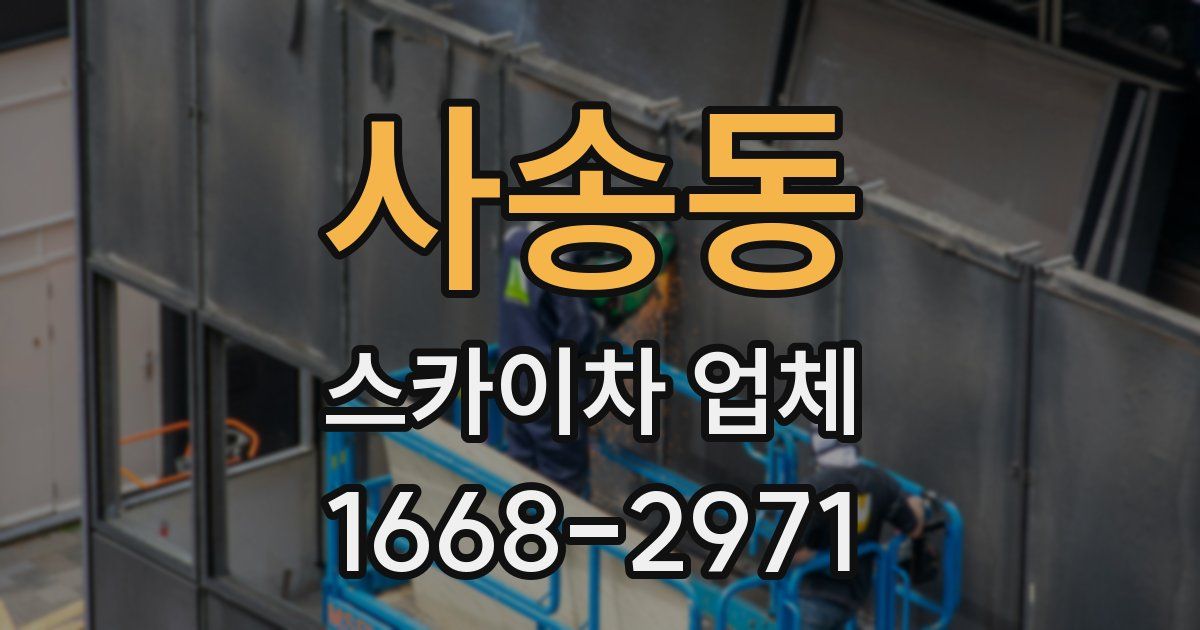 사송동 스카이차 업체