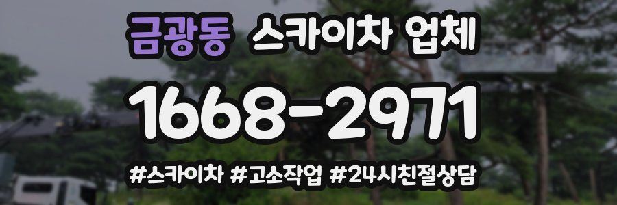 금광동 스카이차 업체