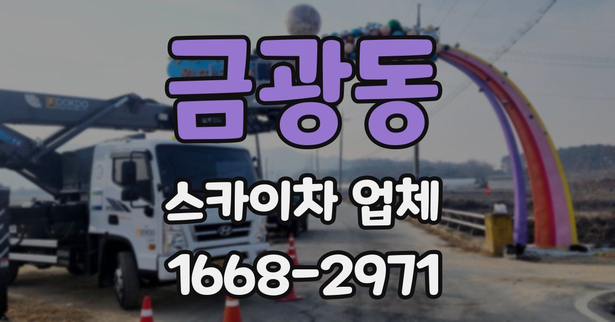 금광동 스카이차 업체