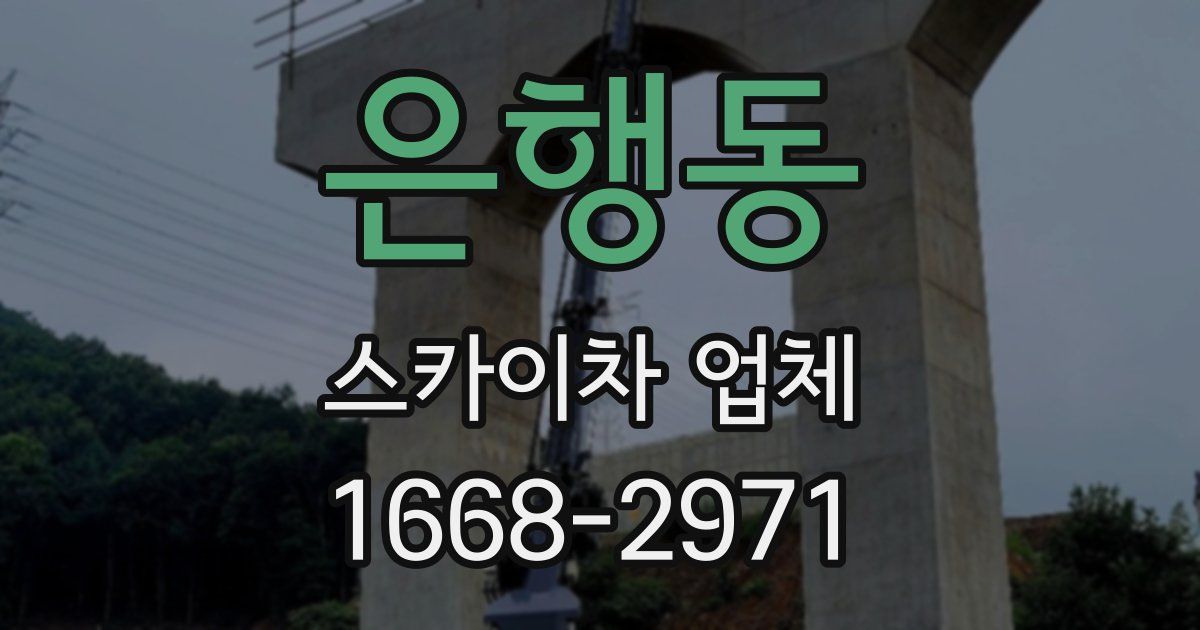 은행동 스카이차 업체