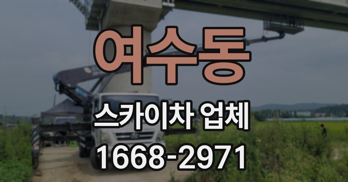 여수동 스카이차 업체