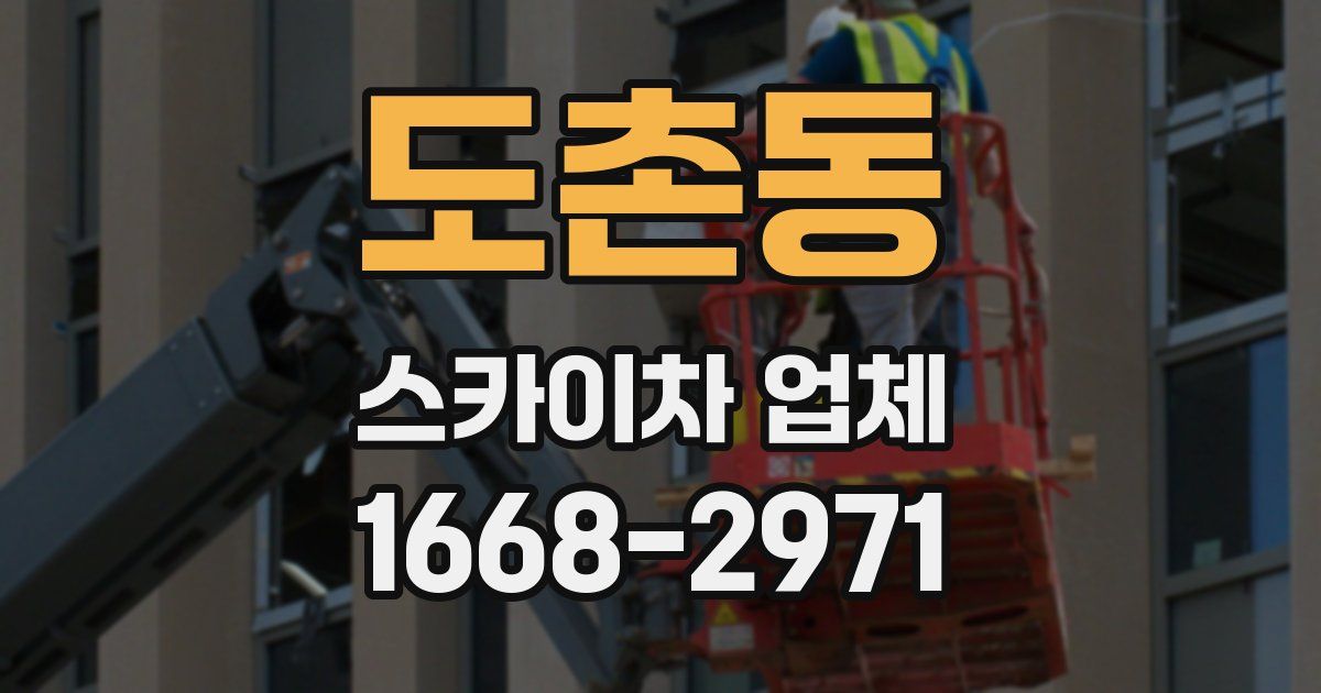 도촌동 스카이차 업체