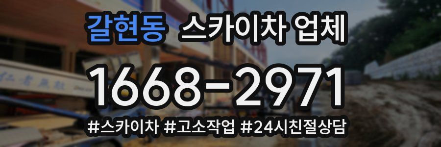 갈현동 스카이차 업체