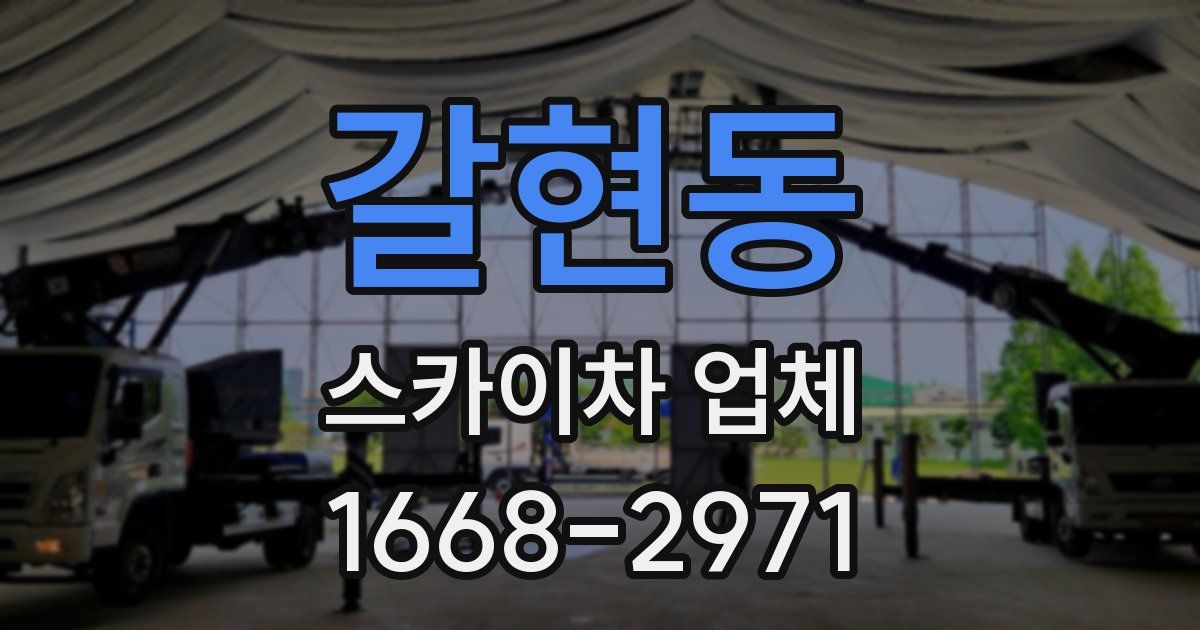 갈현동 스카이차 업체