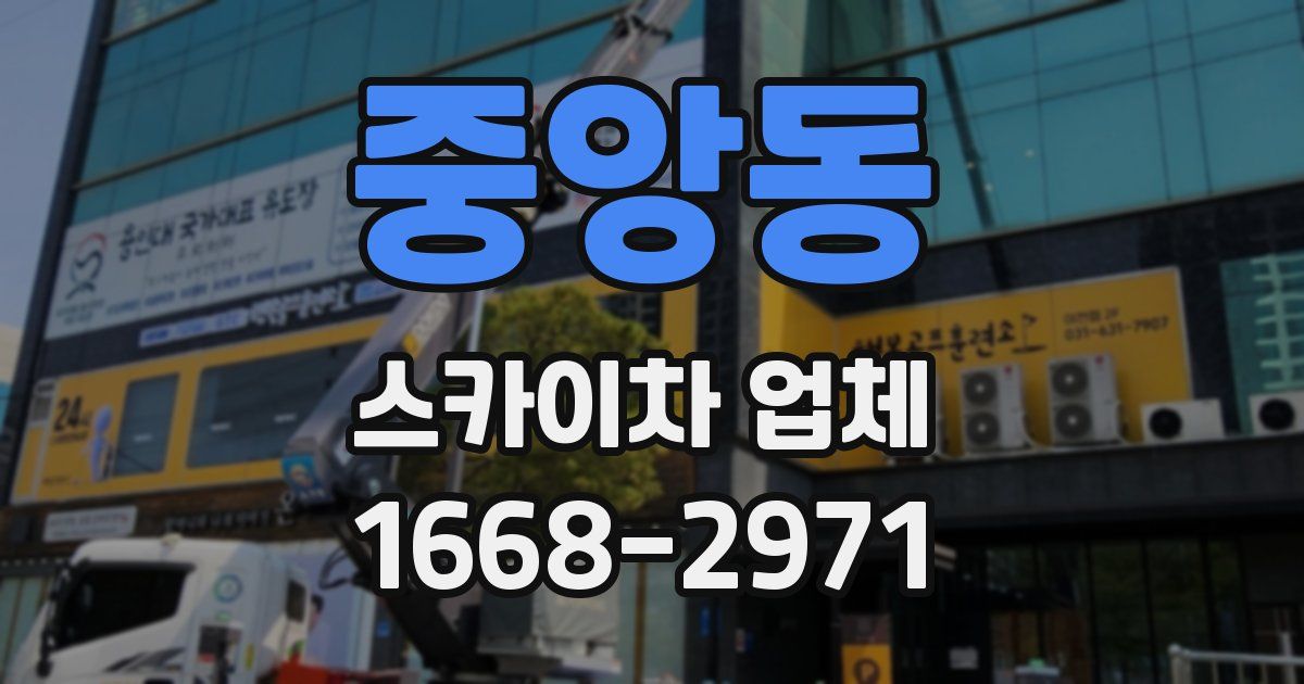 중앙동 스카이차 업체