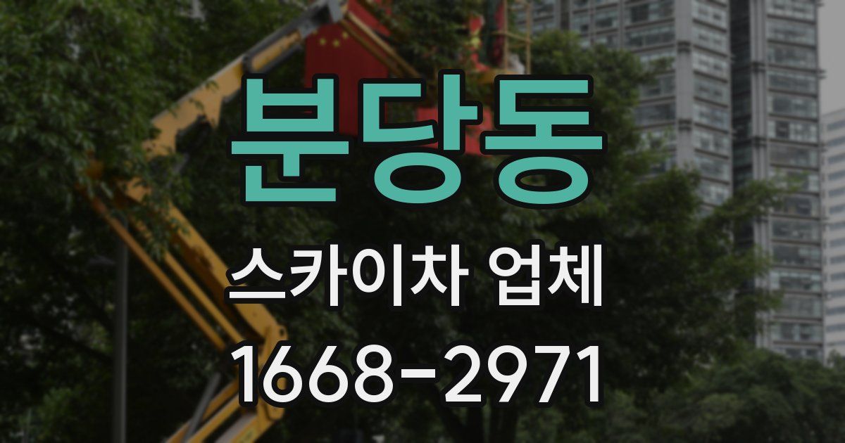 분당동 스카이차 업체
