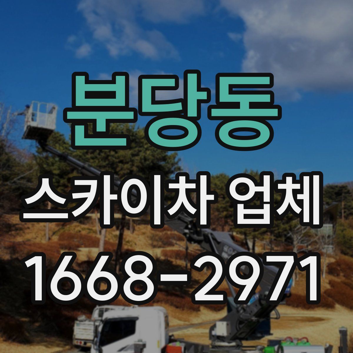 분당동 스카이차 업체
