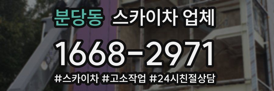 분당동 스카이차 업체