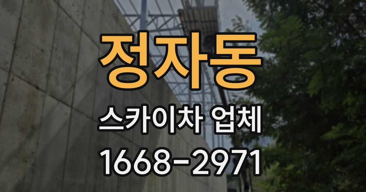 정자동 스카이차 업체