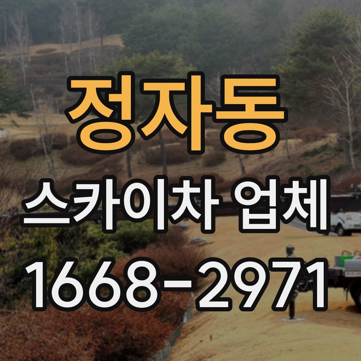 정자동 스카이차 업체