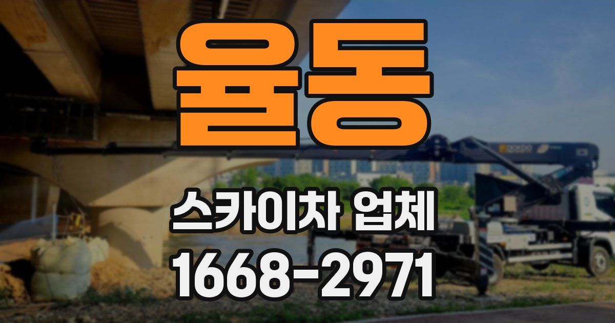 율동 스카이차 업체
