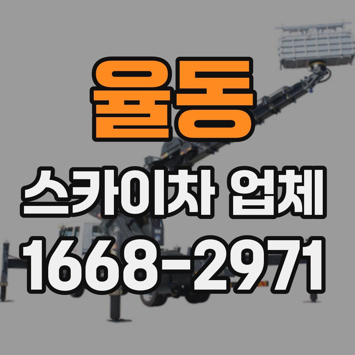 율동 스카이차 업체