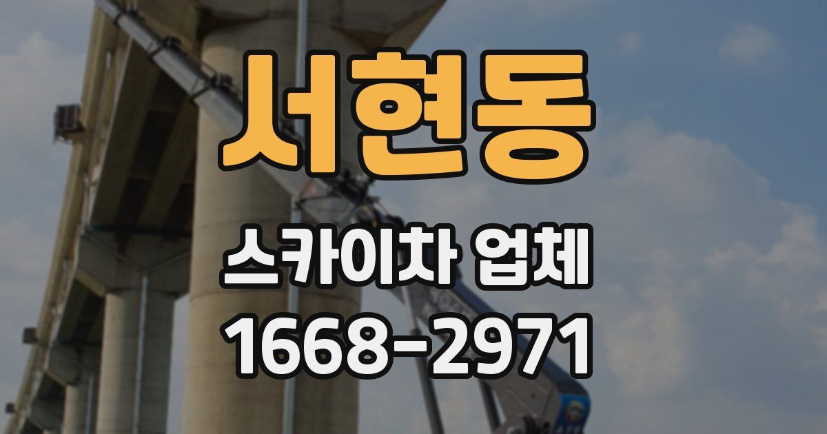 서현동 스카이차 업체