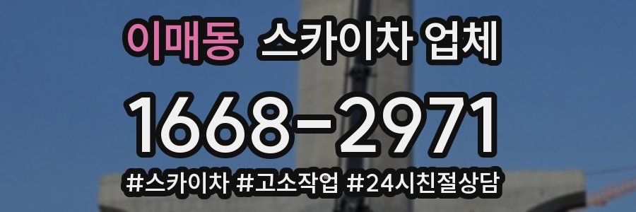 이매동 스카이차 업체