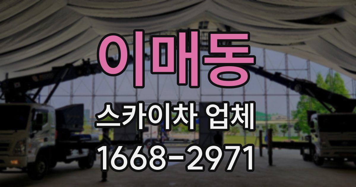 이매동 스카이차 업체
