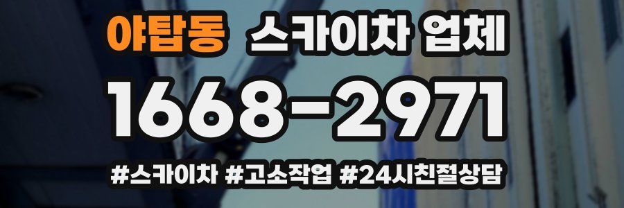 야탑동 스카이차 업체