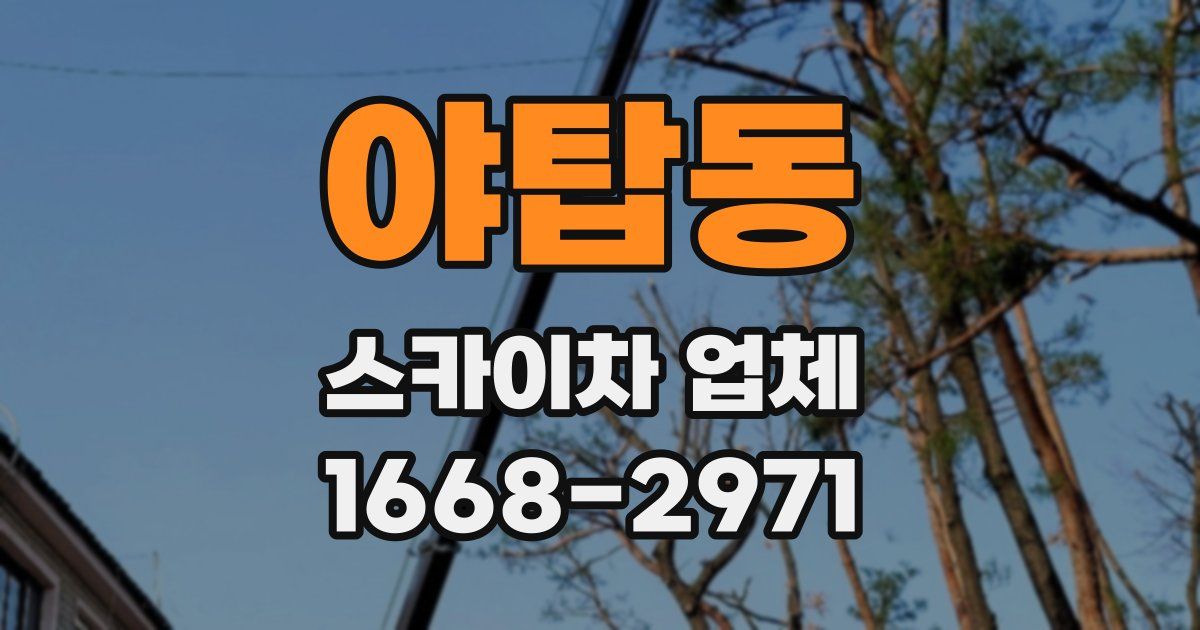 야탑동 스카이차 업체