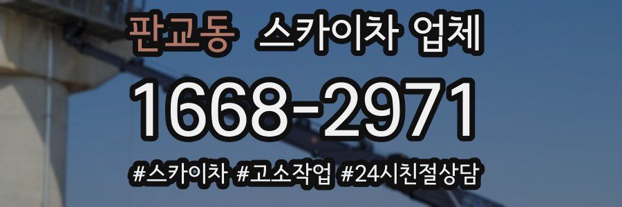 판교동 스카이차 업체