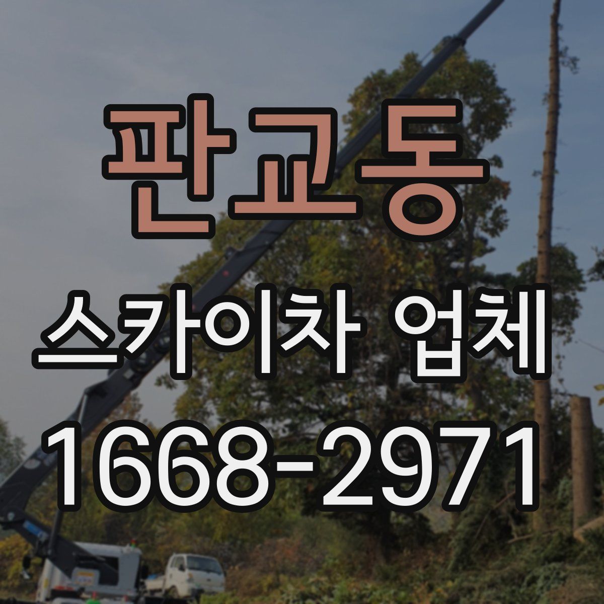 판교동 스카이차 업체