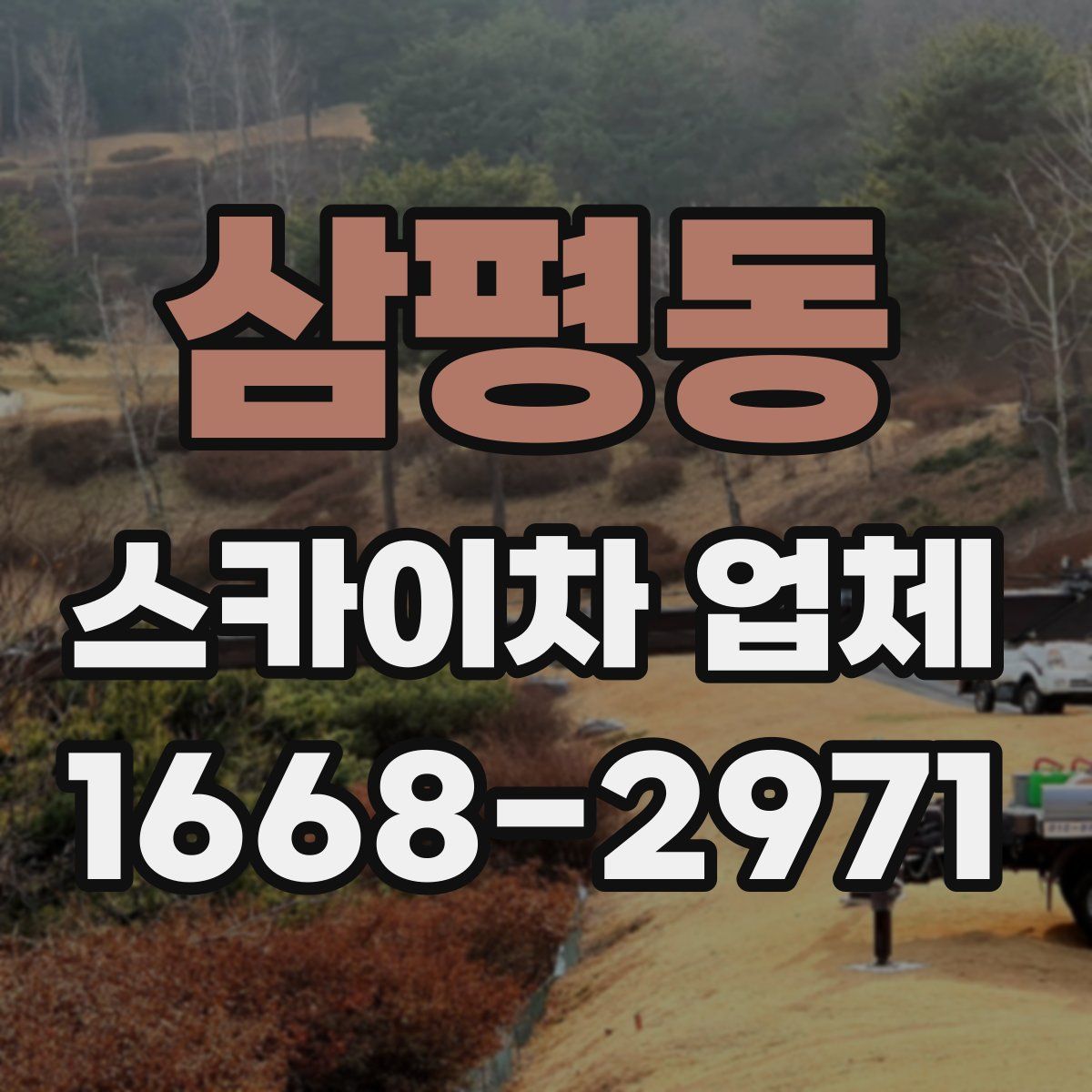 삼평동 스카이차 업체