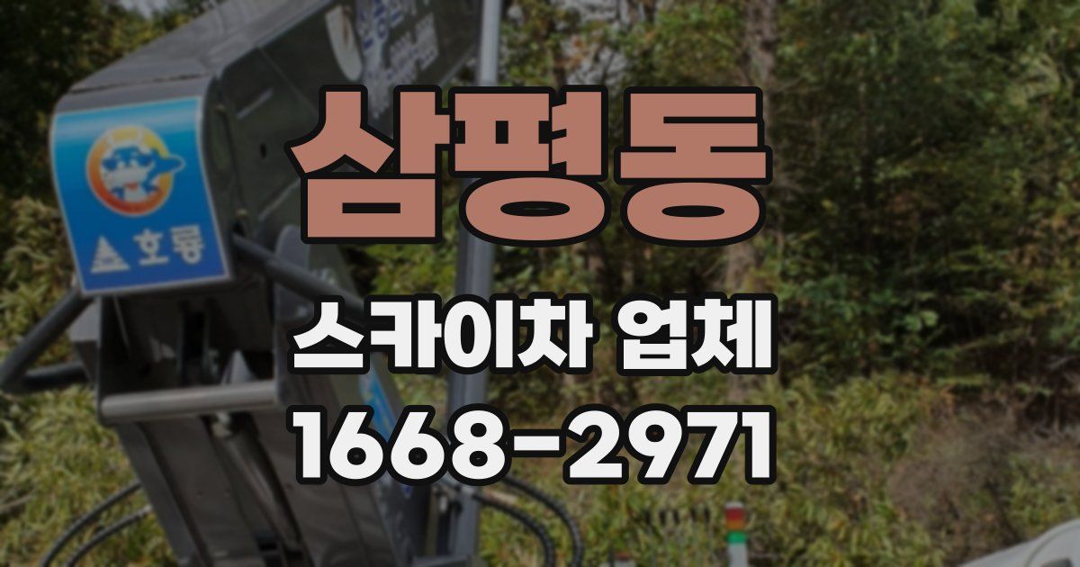 삼평동 스카이차 업체