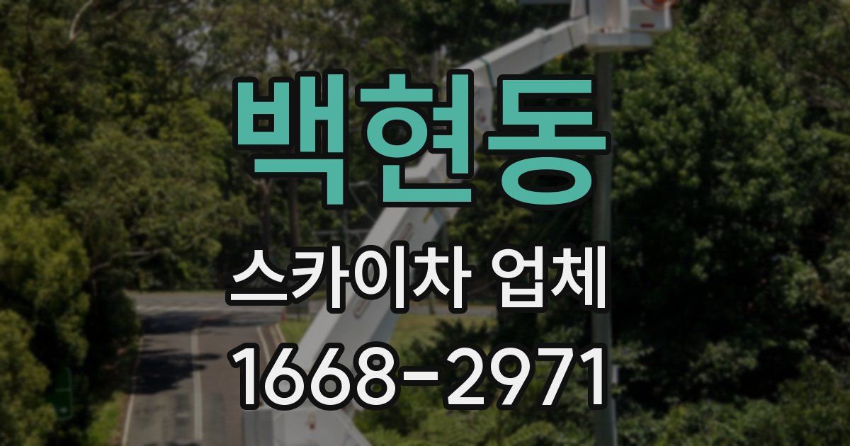 백현동 스카이차 업체