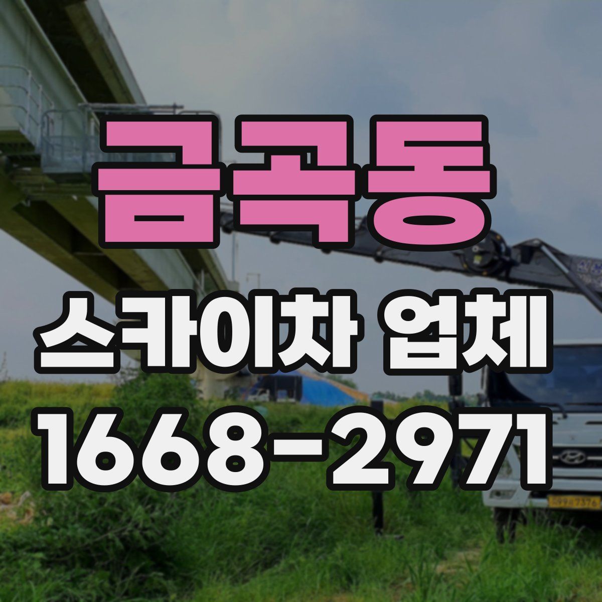 금곡동 스카이차 업체