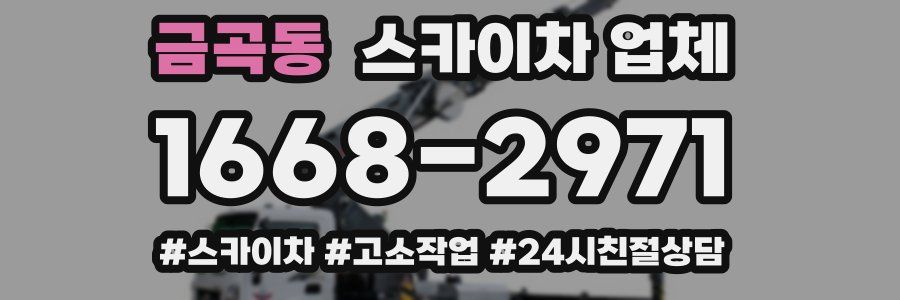 금곡동 스카이차 업체