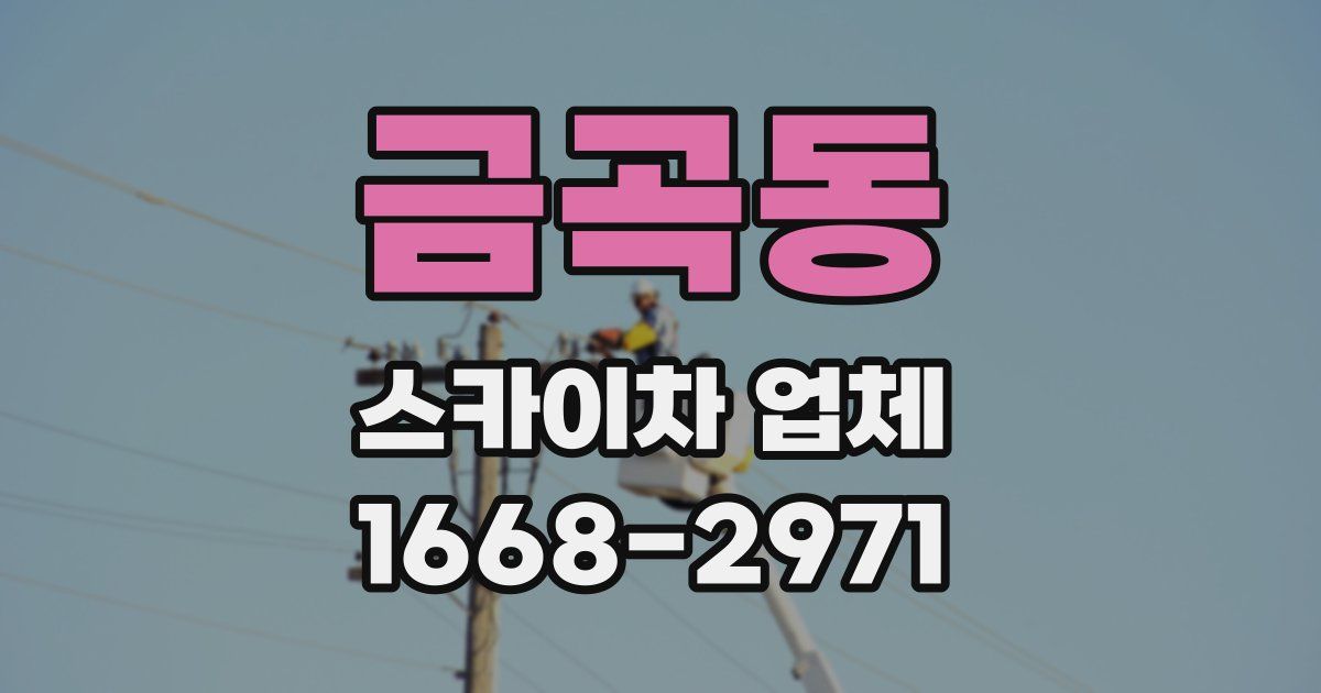 금곡동 스카이차 업체