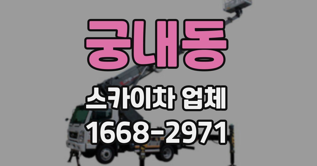 궁내동 스카이차 업체