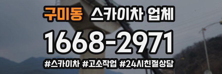 구미동 스카이차 업체