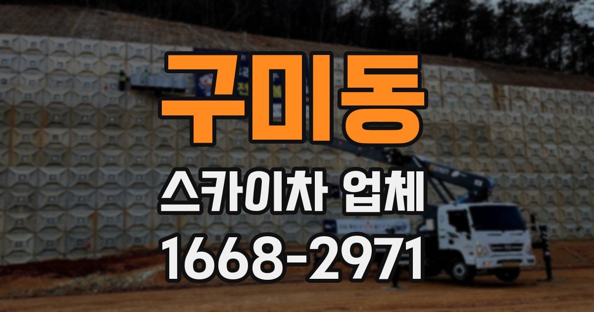 구미동 스카이차 업체