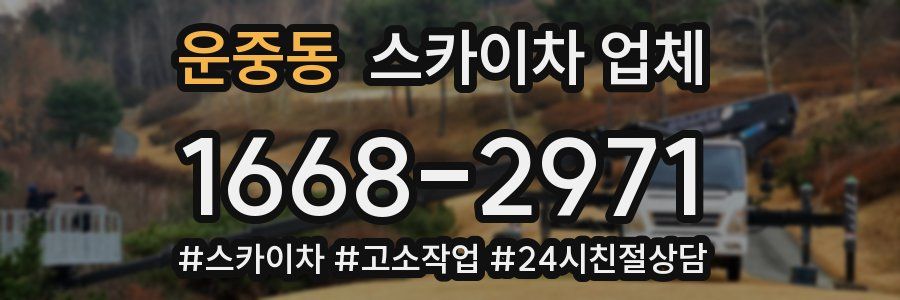 운중동 스카이차 업체
