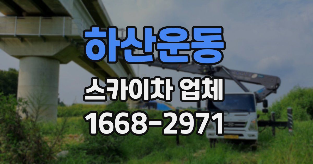 하산운동 스카이차 업체