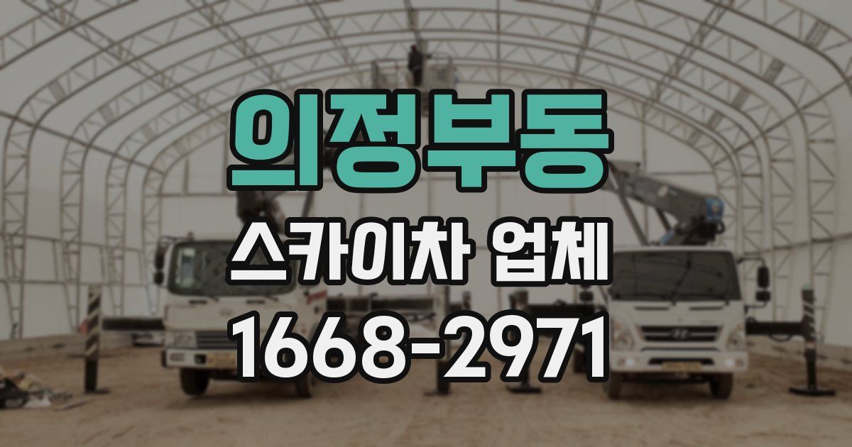 의정부동 스카이차 업체