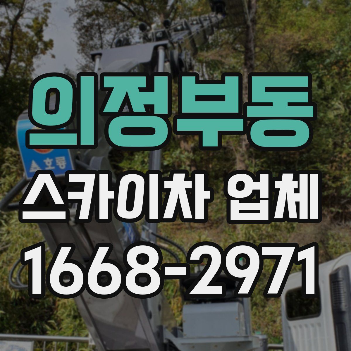 의정부동 스카이차 업체