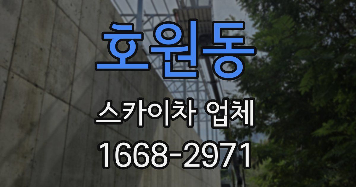 호원동 스카이차 업체