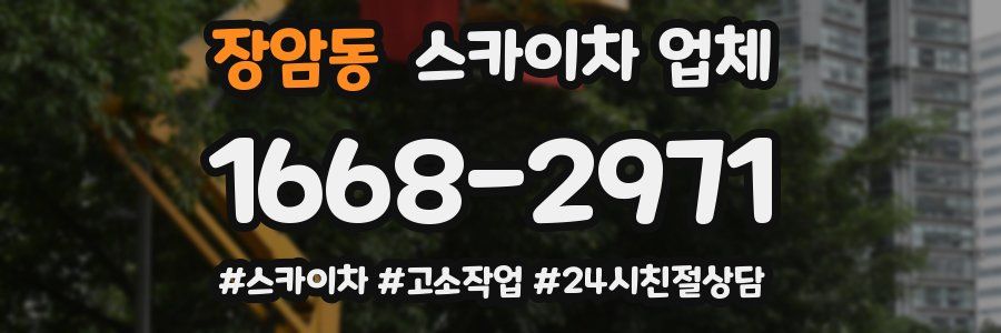 장암동 스카이차 업체