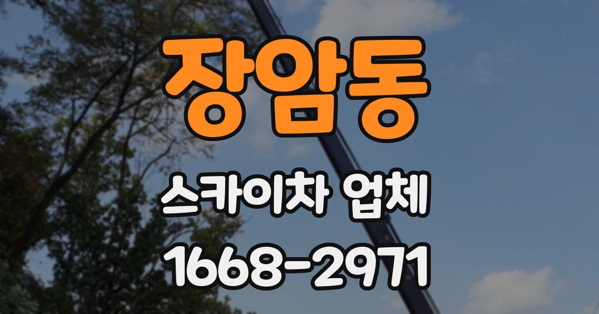 장암동 스카이차 업체